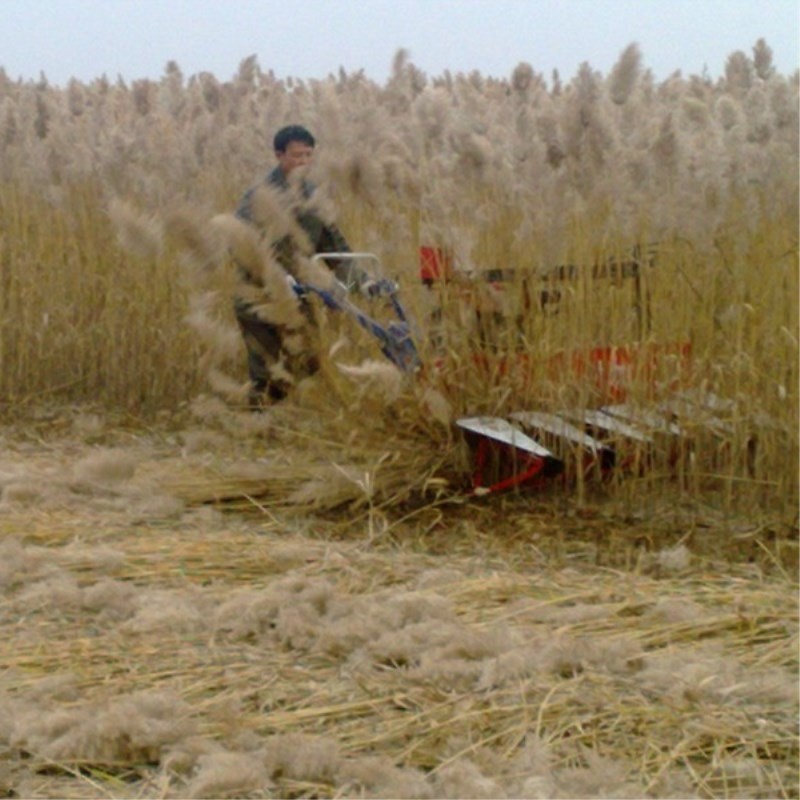 Farm Equipment Small Handy Agr - Agriculture.Farming Design reseña y precio