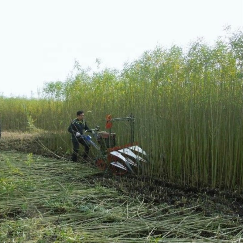 Farm Equipment Small Handy Agr - Agriculture.Farming Design reseña y precio