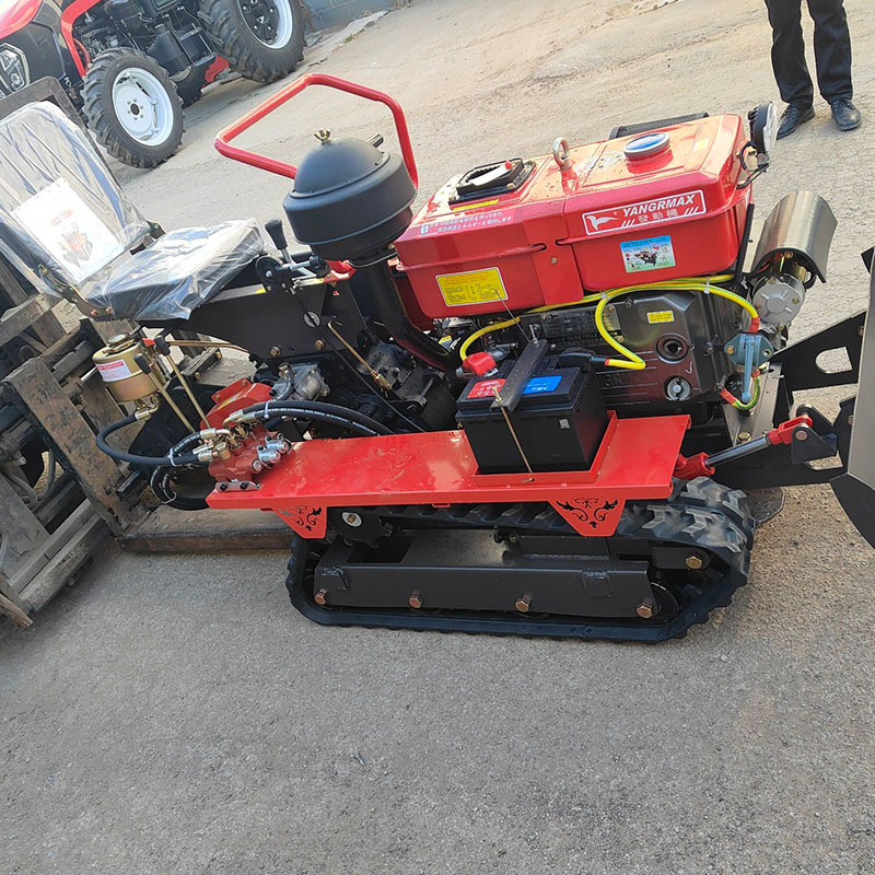1-Year Warranty Compact Size C - Farming Year reseña y precio