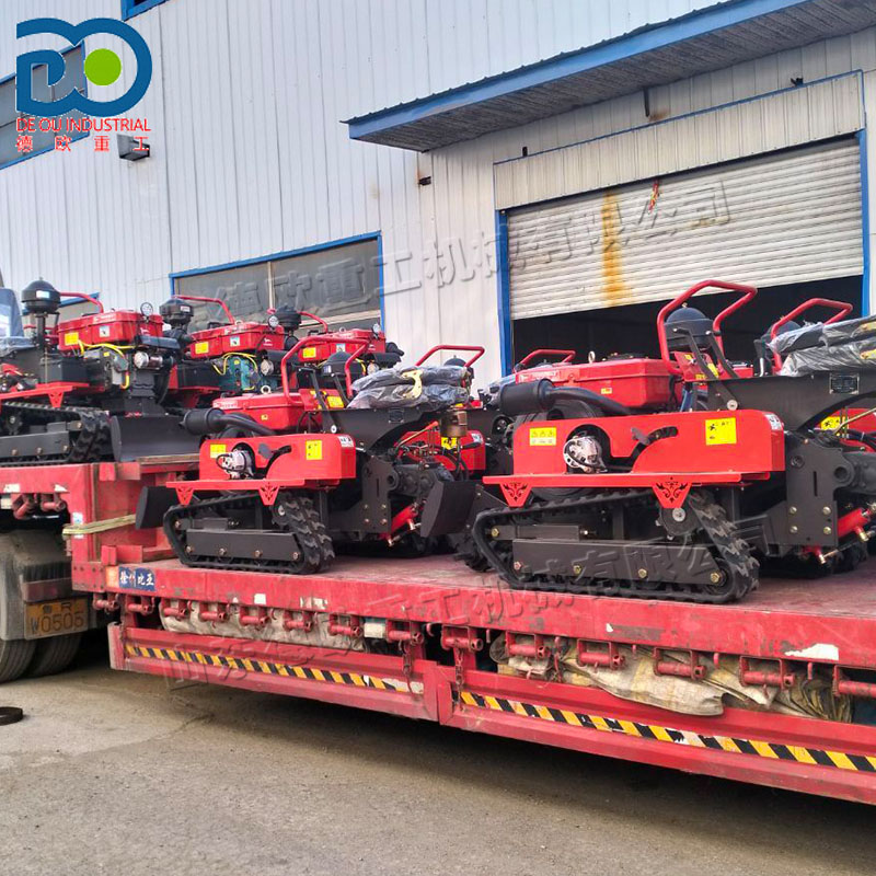 1-Year Warranty Compact Size C - Farming Year reseña y precio