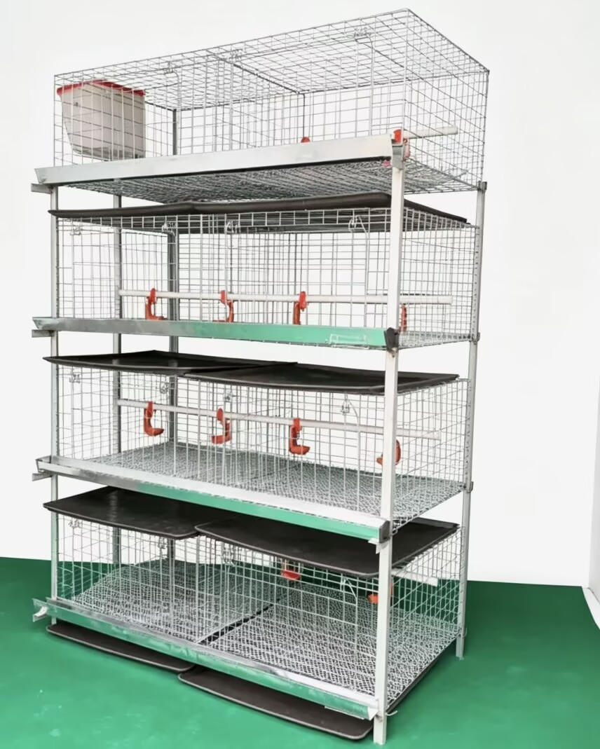 New H Type Broiler Chicken Cag - Farming System & Sustainable Agriculture reseña y precio
